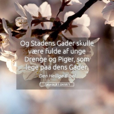 Picture 05 - Zakarias 8:5 DA1871 - Og Stadens Gader skulle være fulde af unge - Bible Verse Picture