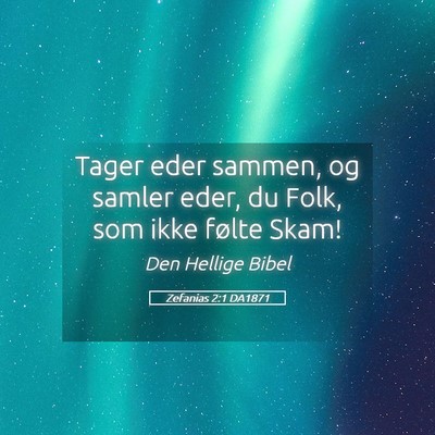 Picture 05 - Zefanias 2:1 DA1871 - Tager eder sammen, og samler eder, du Folk, som - Bible Verse Picture