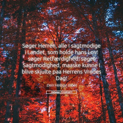 Picture 05 - Zefanias 2:3 DA1871 - Søger Herren, alle I sagtmodige i Landet, som - Bible Verse Picture
