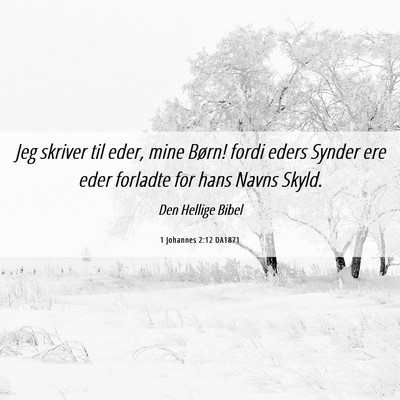 Picture 06 - 1 Johannes 2:12 DA1871 - Jeg skriver til eder, mine Børn! fordi eders - Bible Verse Picture