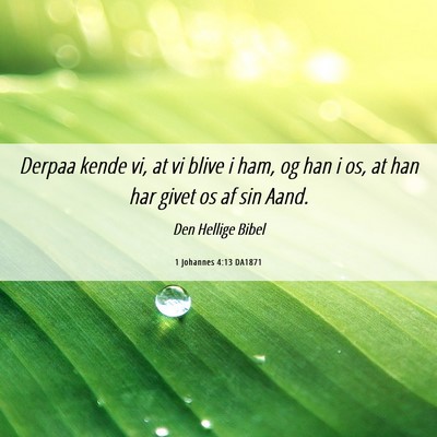 Picture 06 - 1 Johannes 4:13 DA1871 - Derpaa kende vi, at vi blive i ham, og han i os, - Bible Verse Picture