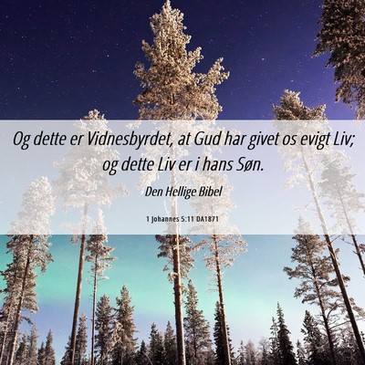 Picture 06 - 1 Johannes 5:11 DA1871 - Og dette er Vidnesbyrdet, at Gud har givet os - Bible Verse Picture