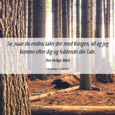 Picture 06 - 1 Kongebog 1:14 DA1871 - Se, naar du endnu taler der med Kongen, vil og - Bible Verse Picture