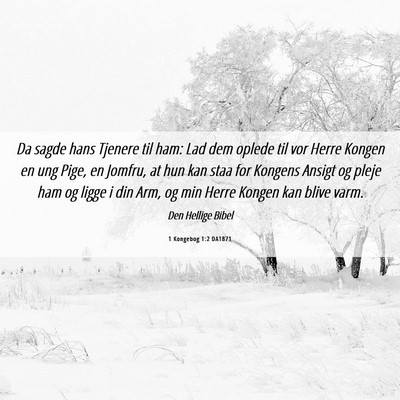 Picture 06 - 1 Kongebog 1:2 DA1871 - Da sagde hans Tjenere til ham: Lad dem oplede til - Bible Verse Picture