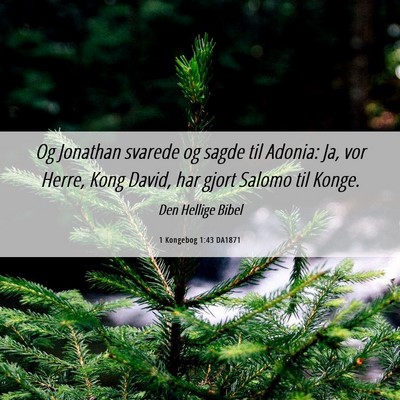 Picture 06 - 1 Kongebog 1:43 DA1871 - Og Jonathan svarede og sagde til Adonia: Ja, vor - Bible Verse Picture