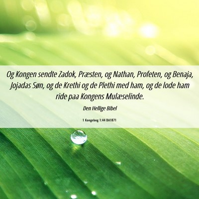 Picture 06 - 1 Kongebog 1:44 DA1871 - Og Kongen sendte Zadok, Præsten, og Nathan, - Bible Verse Picture