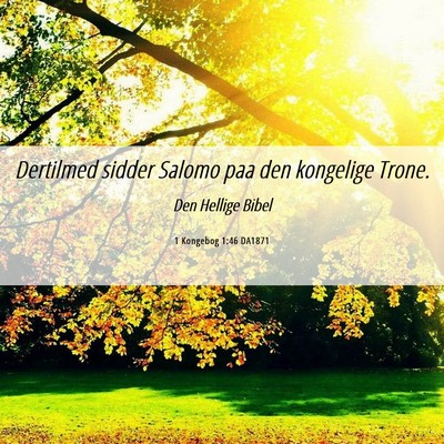 Picture 06 - 1 Kongebog 1:46 DA1871 - Dertilmed sidder Salomo paa den kongelige - Bible Verse Picture