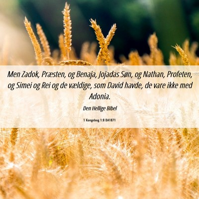 Picture 06 - 1 Kongebog 1:8 DA1871 - Men Zadok, Præsten, og Benaja, Jojadas Søn, og - Bible Verse Picture