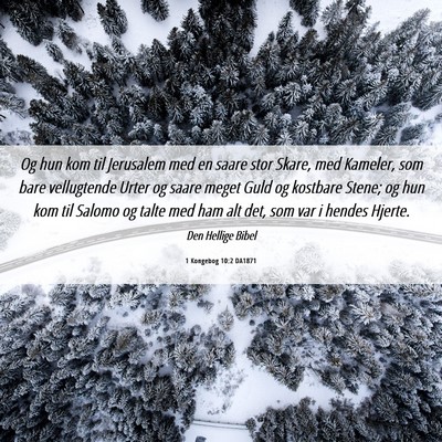 Picture 06 - 1 Kongebog 10:2 DA1871 - Og hun kom til Jerusalem med en saare stor Skare, - Bible Verse Picture