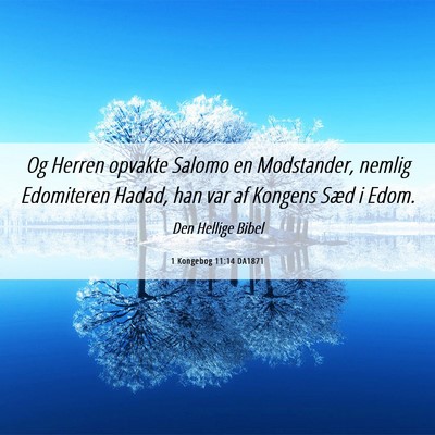Picture 06 - 1 Kongebog 11:14 DA1871 - Og Herren opvakte Salomo en Modstander, nemlig - Bible Verse Picture