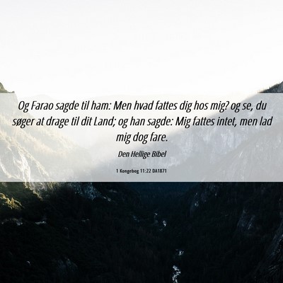 Picture 06 - 1 Kongebog 11:22 DA1871 - Og Farao sagde til ham: Men hvad fattes dig hos - Bible Verse Picture
