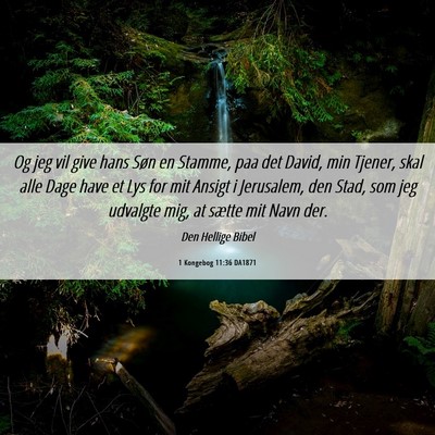 Picture 06 - 1 Kongebog 11:36 DA1871 - Og jeg vil give hans Søn en Stamme, paa det - Bible Verse Picture