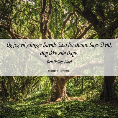 Picture 06 - 1 Kongebog 11:39 DA1871 - Og jeg vil ydmyge Davids Sæd for denne Sags - Bible Verse Picture