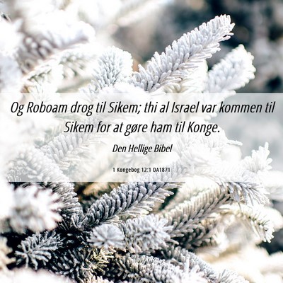 Picture 06 - 1 Kongebog 12:1 DA1871 - Og Roboam drog til Sikem; thi al Israel var - Bible Verse Picture