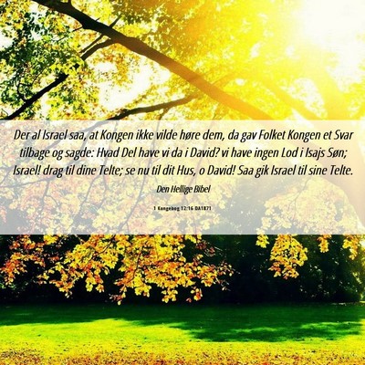 Picture 06 - 1 Kongebog 12:16 DA1871 - Der al Israel saa, at Kongen ikke vilde høre - Bible Verse Picture