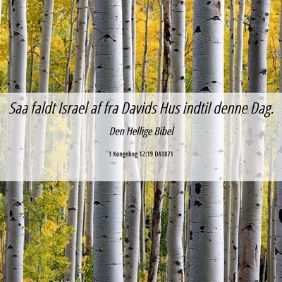 Picture 06 - 1 Kongebog 12:19 DA1871 - Saa faldt Israel af fra Davids Hus indtil denne - Bible Verse Picture
