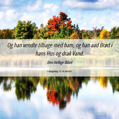 Picture 06 - 1 Kongebog 13:19 DA1871 - Og han vendte tilbage med ham, og han aad Brød i - Bible Verse Picture