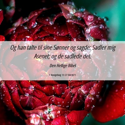 Picture 06 - 1 Kongebog 13:27 DA1871 - Og han talte til sine Sønner og sagde: Sadler - Bible Verse Picture