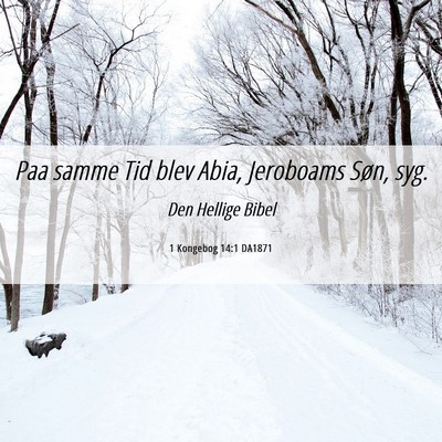 Picture 06 - 1 Kongebog 14:1 DA1871 - Paa samme Tid blev Abia, Jeroboams Søn, - Bible Verse Picture