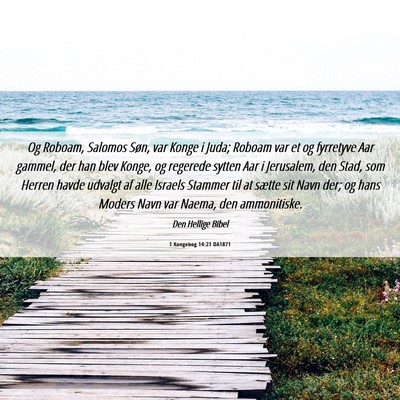 Picture 06 - 1 Kongebog 14:21 DA1871 - Og Roboam, Salomos Søn, var Konge i Juda; Roboam - Bible Verse Picture
