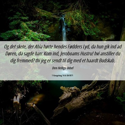 Picture 06 - 1 Kongebog 14:6 DA1871 - Og det skete, der Ahia hørte hendes Fødders - Bible Verse Picture