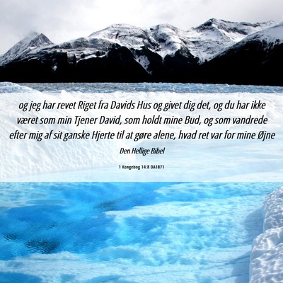 Picture 06 - 1 Kongebog 14:8 DA1871 - og jeg har revet Riget fra Davids Hus og givet - Bible Verse Picture