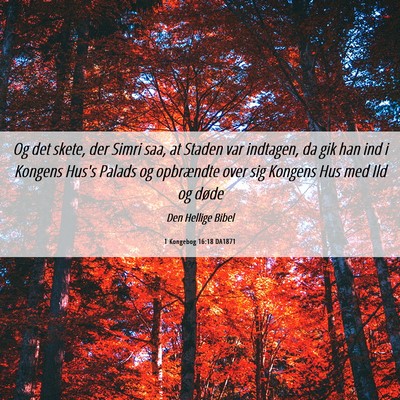 Picture 06 - 1 Kongebog 16:18 DA1871 - Og det skete, der Simri saa, at Staden var - Bible Verse Picture