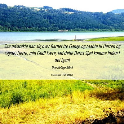 Picture 06 - 1 Kongebog 17:21 DA1871 - Saa udstrakte han sig over Barnet tre Gange og - Bible Verse Picture