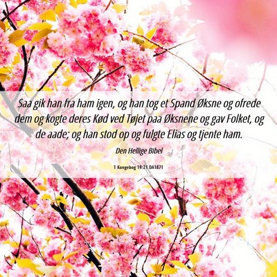 Picture 06 - 1 Kongebog 19:21 DA1871 - Saa gik han fra ham igen, og han tog et Spand - Bible Verse Picture