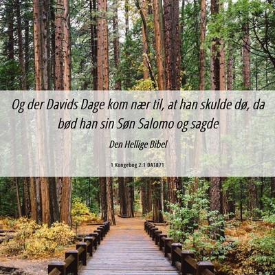 Picture 06 - 1 Kongebog 2:1 DA1871 - Og der Davids Dage kom nær til, at han skulde - Bible Verse Picture