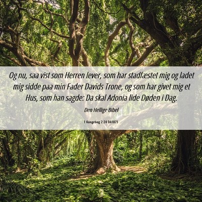 Picture 06 - 1 Kongebog 2:24 DA1871 - Og nu, saa vist som Herren lever, som har - Bible Verse Picture