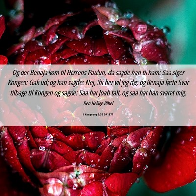 Picture 06 - 1 Kongebog 2:30 DA1871 - Og der Benaja kom til Herrens Paulun, da sagde - Bible Verse Picture