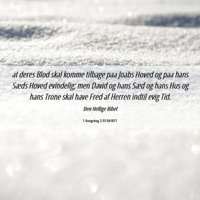 Picture 06 - 1 Kongebog 2:33 DA1871 - at deres Blod skal komme tilbage paa Joabs Hoved - Bible Verse Picture