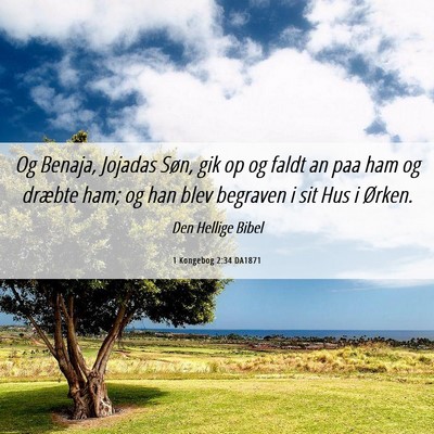 Picture 06 - 1 Kongebog 2:34 DA1871 - Og Benaja, Jojadas Søn, gik op og faldt an paa - Bible Verse Picture