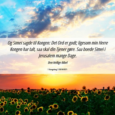 Picture 06 - 1 Kongebog 2:38 DA1871 - Og Simei sagde til Kongen: Det Ord er godt; - Bible Verse Picture