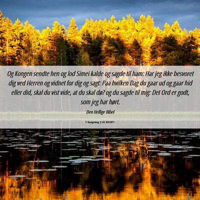 Picture 06 - 1 Kongebog 2:42 DA1871 - Og Kongen sendte hen og lod Simei kalde og sagde - Bible Verse Picture