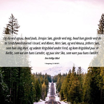 Picture 06 - 1 Kongebog 2:5 DA1871 - Og du ved ogsaa, hvad Joab, Zerujas Søn, gjorde - Bible Verse Picture
