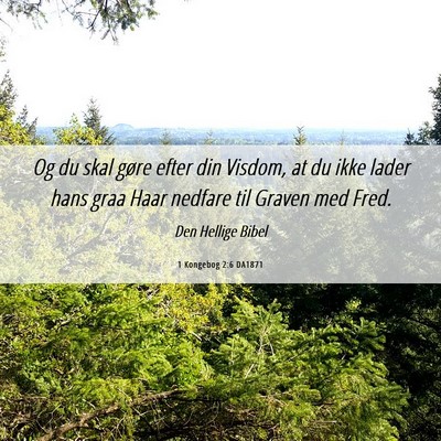 Picture 06 - 1 Kongebog 2:6 DA1871 - Og du skal gøre efter din Visdom, at du ikke - Bible Verse Picture