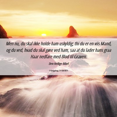 Picture 06 - 1 Kongebog 2:9 DA1871 - Men nu, du skal ikke holde ham uskyldig; thi du - Bible Verse Picture