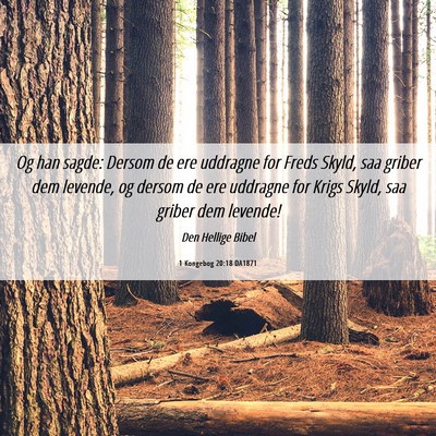Picture 06 - 1 Kongebog 20:18 DA1871 - Og han sagde: Dersom de ere uddragne for Freds - Bible Verse Picture