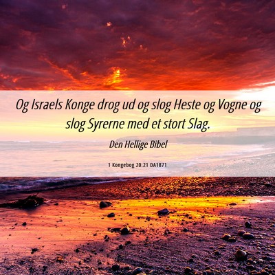 Picture 06 - 1 Kongebog 20:21 DA1871 - Og Israels Konge drog ud og slog Heste og Vogne - Bible Verse Picture