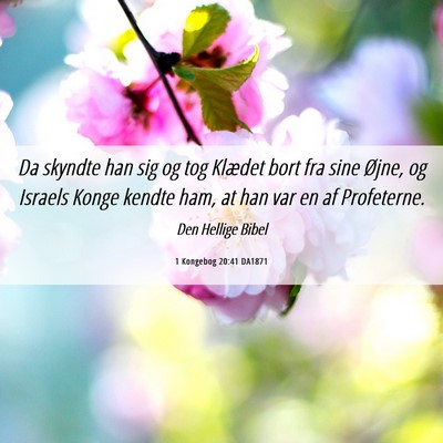 Picture 06 - 1 Kongebog 20:41 DA1871 - Da skyndte han sig og tog Klædet bort fra sine - Bible Verse Picture