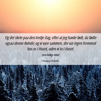 Picture 06 - 1 Kongebog 3:18 DA1871 - Og det skete paa den tredje Dag, efter at jeg - Bible Verse Picture