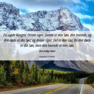 Picture 06 - 1 Kongebog 3:23 DA1871 - Da sagde Kongen: Denne siger: Denne er min Søn, - Bible Verse Picture