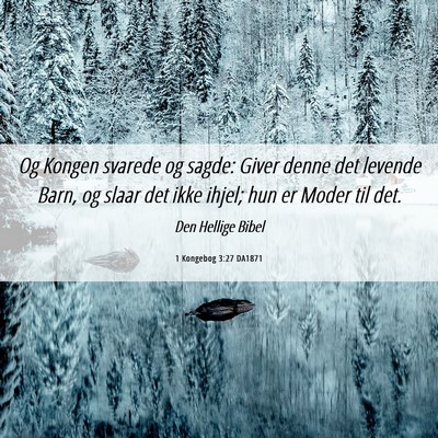 Picture 06 - 1 Kongebog 3:27 DA1871 - Og Kongen svarede og sagde: Giver denne det - Bible Verse Picture