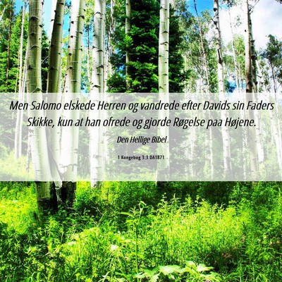 Picture 06 - 1 Kongebog 3:3 DA1871 - Men Salomo elskede Herren og vandrede efter - Bible Verse Picture