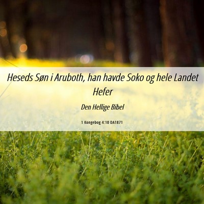 Picture 06 - 1 Kongebog 4:10 DA1871 - Heseds Søn i Aruboth, han havde Soko og hele - Bible Verse Picture