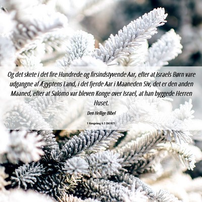 Picture 06 - 1 Kongebog 6:1 DA1871 - Og det skete i det fire Hundrede og - Bible Verse Picture