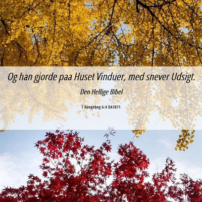 Picture 06 - 1 Kongebog 6:4 DA1871 - Og han gjorde paa Huset Vinduer, med snever - Bible Verse Picture