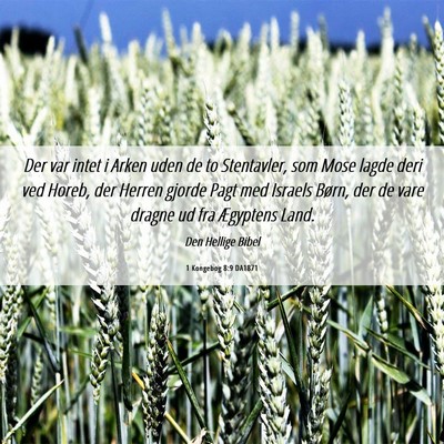 Picture 06 - 1 Kongebog 8:9 DA1871 - Der var intet i Arken uden de to Stentavler, som - Bible Verse Picture